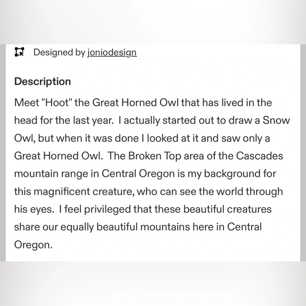 2/$40 Elegant OWL Blue and Green Scarf - Picture 6 of 7